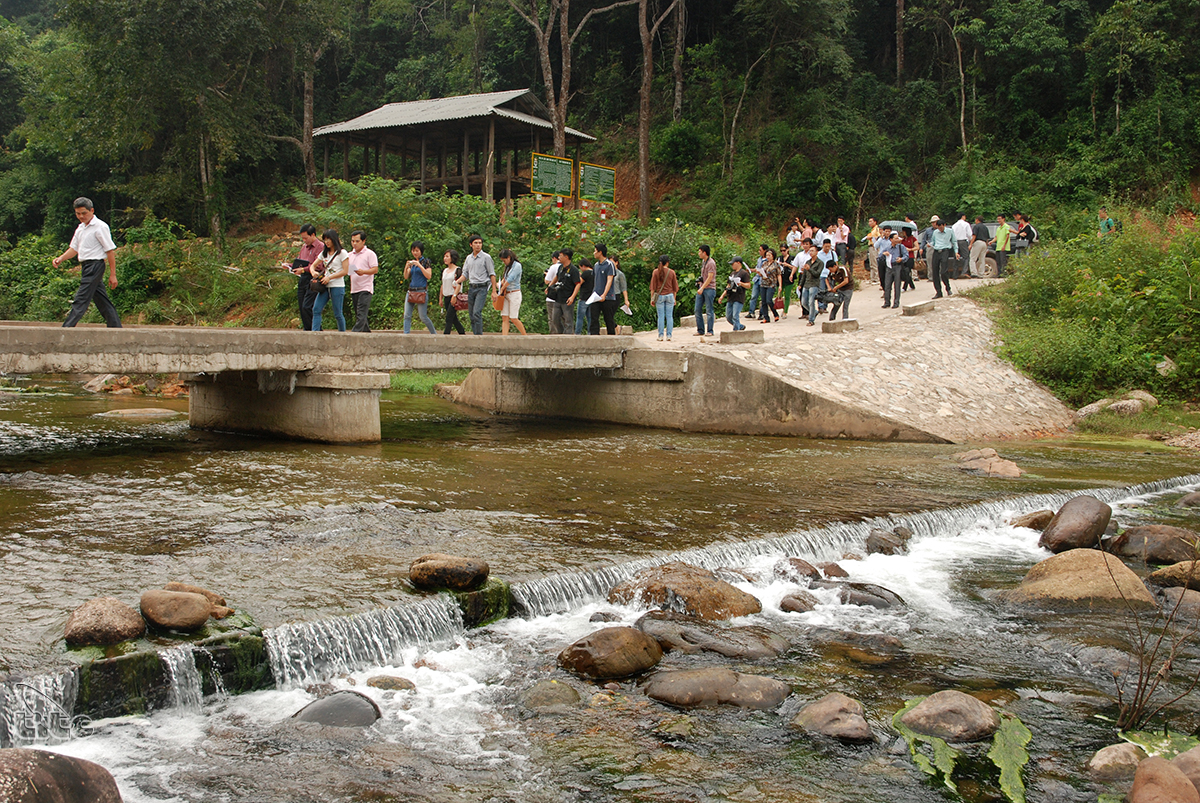 Bac Giang Trek 2 Days An Lac, Khe Ro Forest